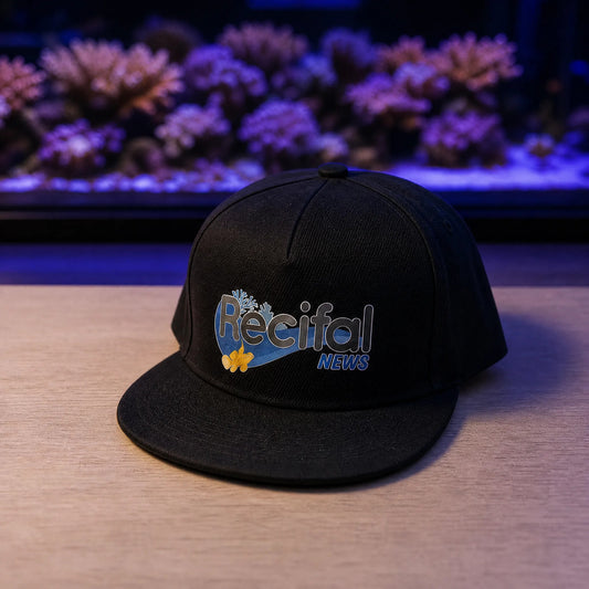 Casquette RecifalNews