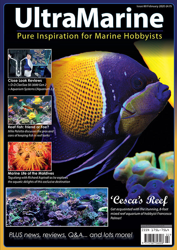 UltraMarine Magazine n°80 - Février / Mars 2020