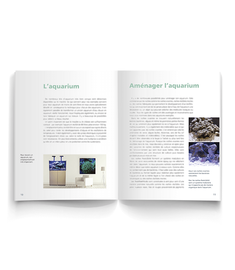 Un nano récifal à la maison