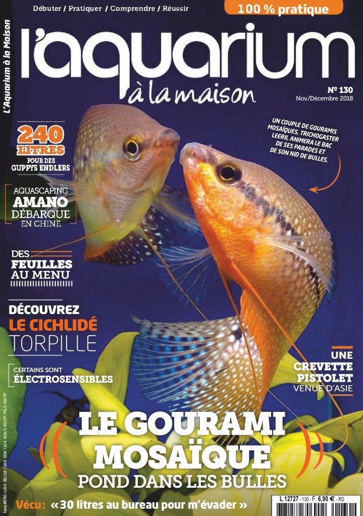 Aquarium à la maison n° 130 - novembre / décembre 2018