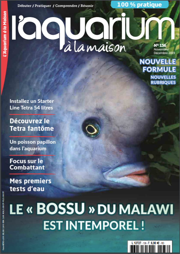 Aquarium à la maison n° 136 - Novembre / Décembre 2019