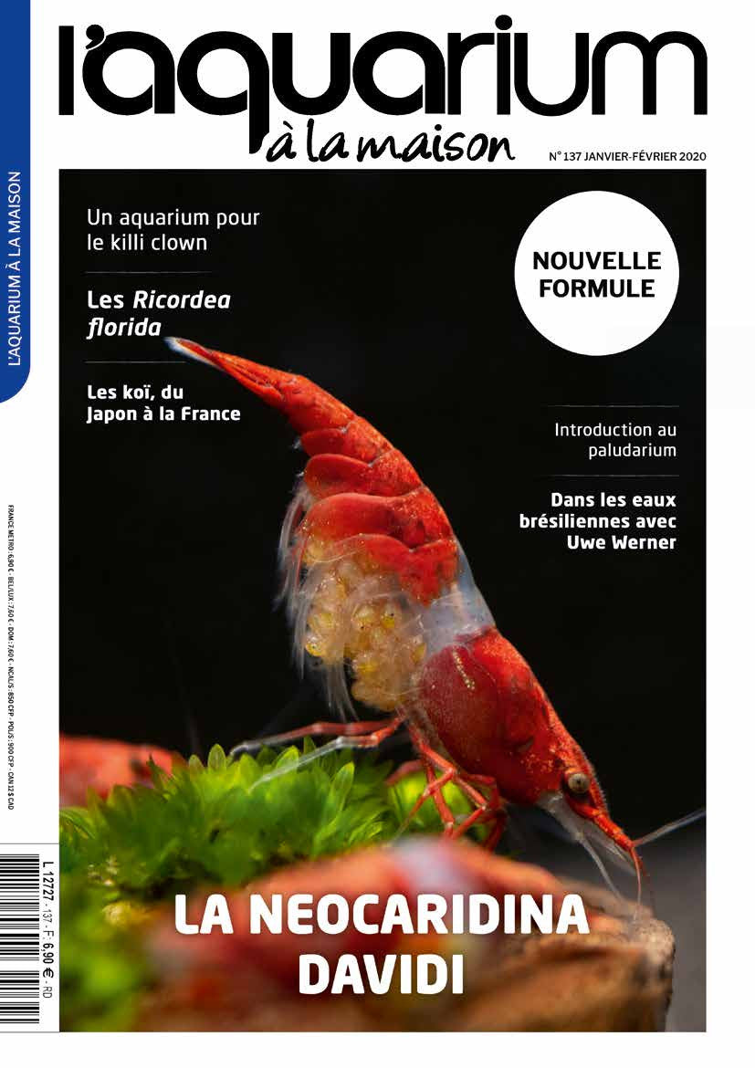 Aquarium à la maison n° 137 - Janvier / Février 2020