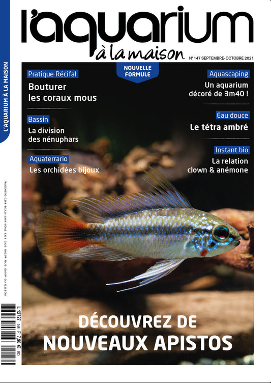 Aquarium à la maison n° 147 - Septembre / Octobre 2021