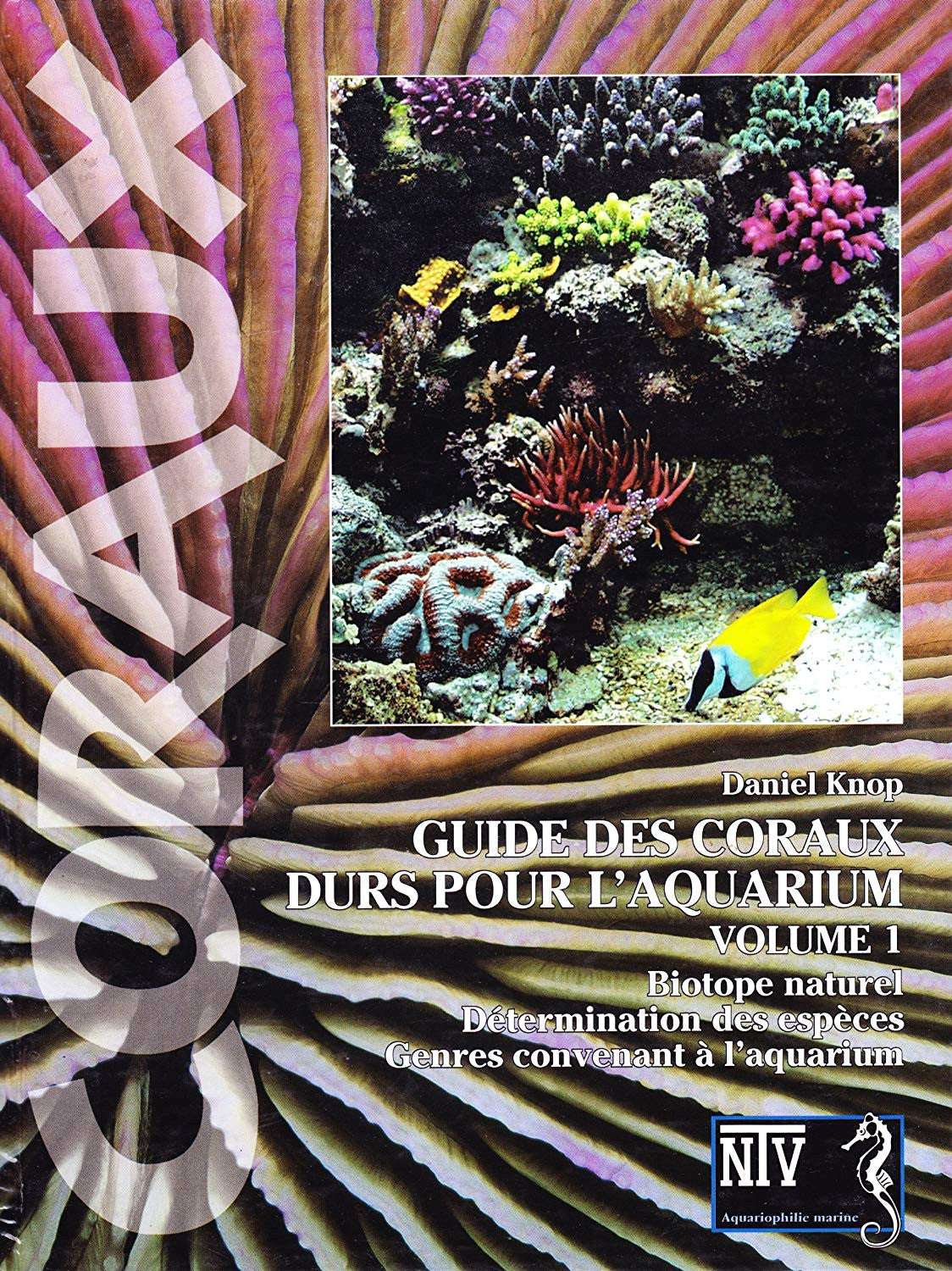 Guide des coraux durs pour l'aquarium Vol.1