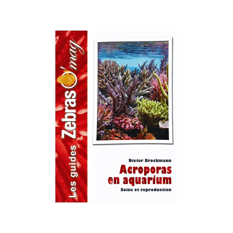 Guide ZebrasO'mag : Les Acroporas en aquarium