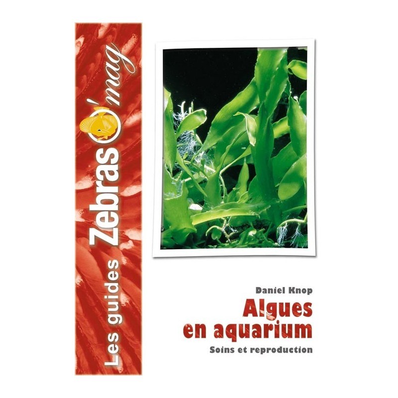 Guide ZebrasO'mag : Les algues en aquarium