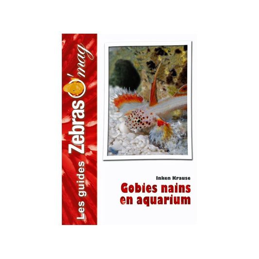 Guide ZebrasO'mag : Les gobies nains en aquarium