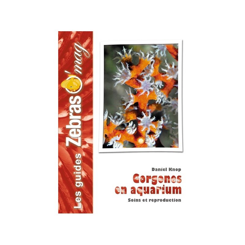 Guide ZebrasO'mag : Les gorgones en aquarium