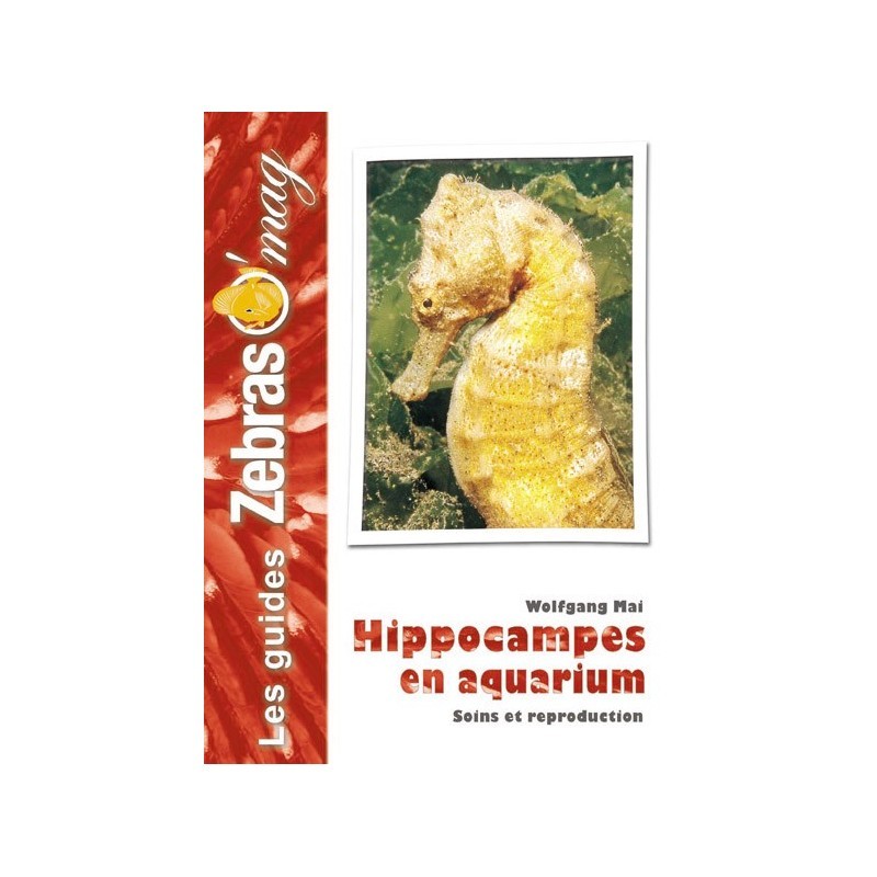 Guide ZebrasO'mag : Les hippocampes en aquarium