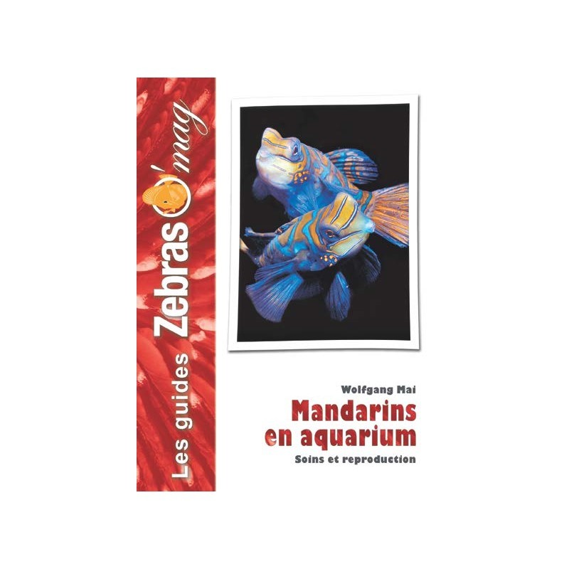 Guide ZebrasO'mag : Les mandarins en aquarium