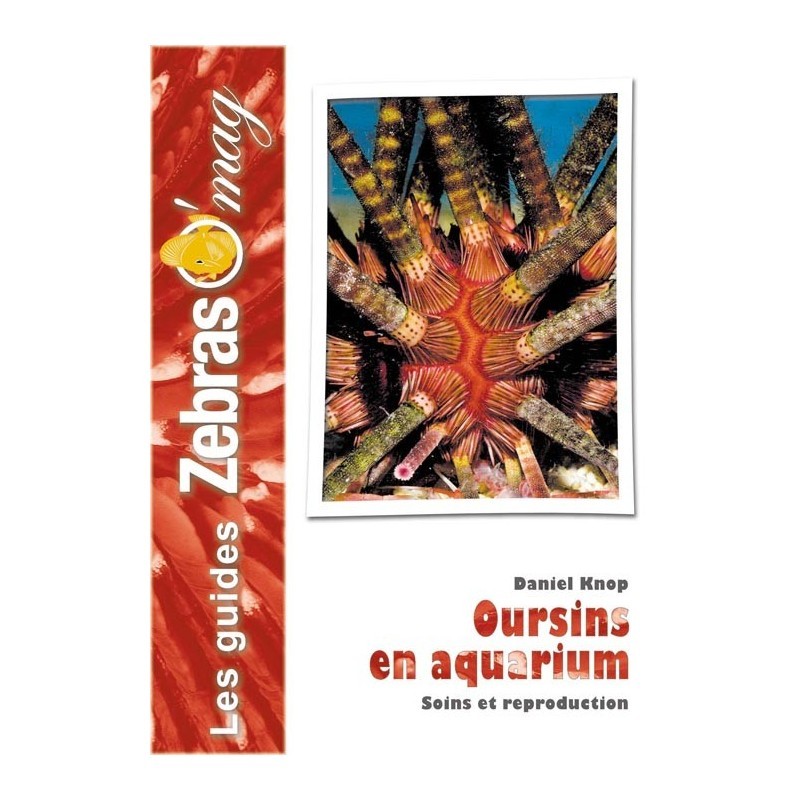 Guide ZebrasO'mag : Les oursins en aquarium