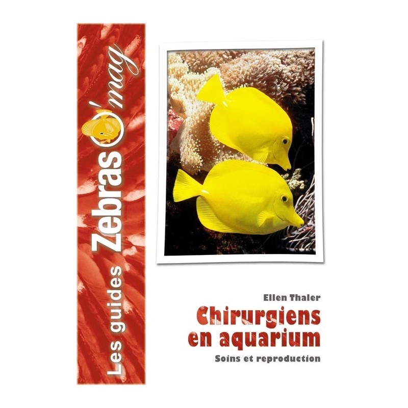 Guide ZebrasO'mag : Les poissons-chirurgien