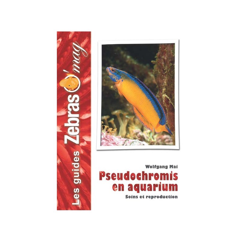 Guide ZebrasO'mag : Pseudochromis en aquarium