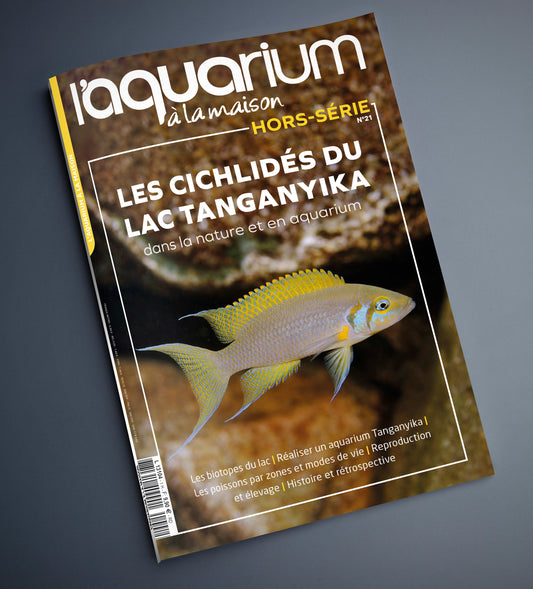 Hors-Série N°21 - Les Cichlidés Du Tanganyika - Dans La Nature Et En Aquarium