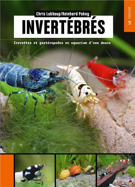 Invertébrés - Crevettes et gastéropodes en aquarium d'eau douce