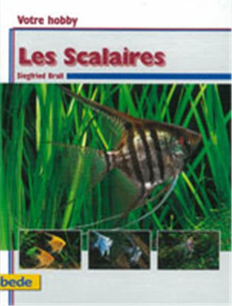 Les Scalaires