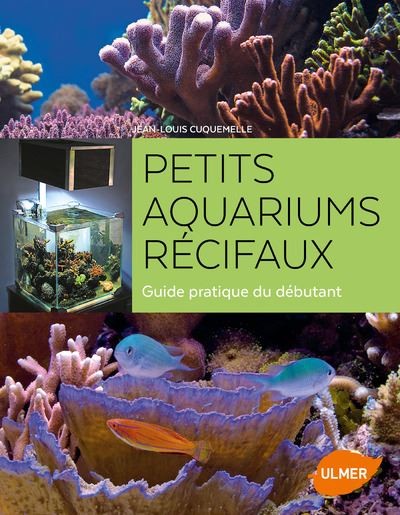 Petits aquariums récifaux : Guide pratique du débutant