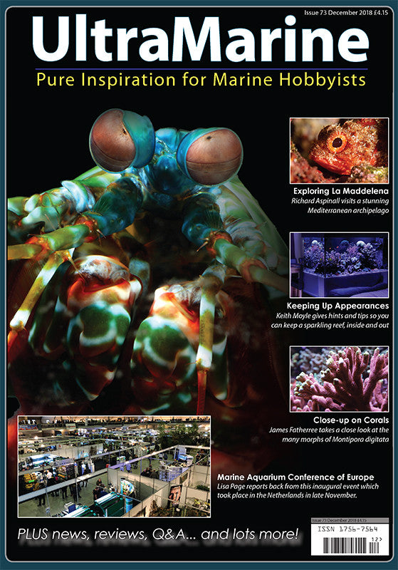 UltraMarine Magazine n° 73 - décembre 18 / janvier 19