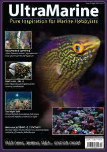 UltraMarine Magazine n° 75 - avril / mai 2019