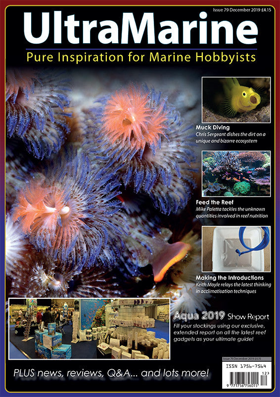 UltraMarine Magazine n° 79 - Décembre 2019 / Janvier 2020