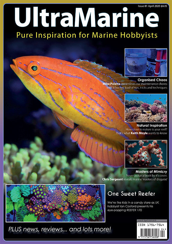 UltraMarine Magazine n°81 - Avril / Mai 2020