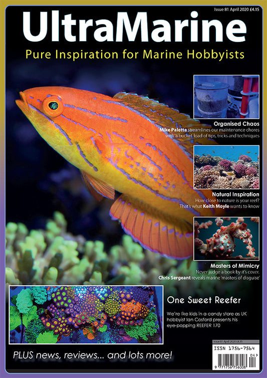 UltraMarine Magazine n°81 - Avril / Mai 2020