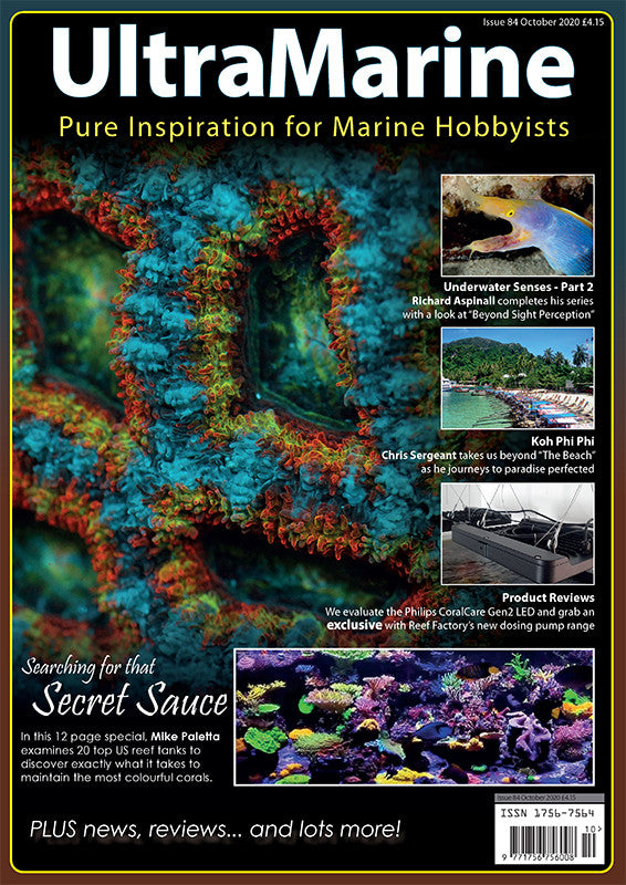 UltraMarine Magazine n°84 - Octobre / Novembre 2020