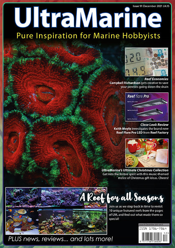 UltraMarine Magazine n°91 - Décembre 2021/Janvier 2022