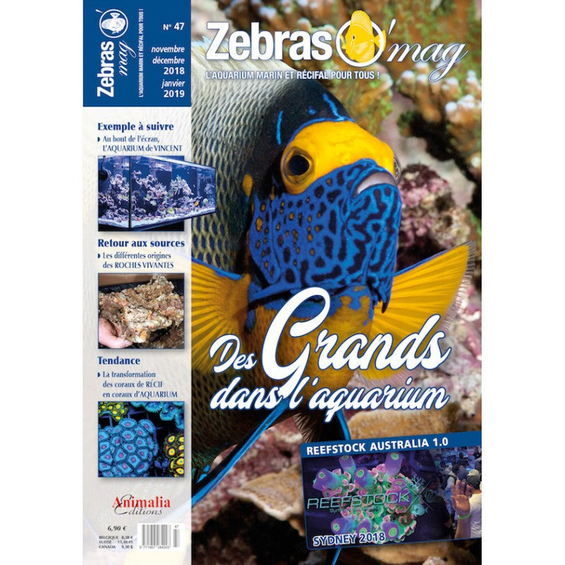 ZebrasO'mag n° 47 nov/dec 2018 Jan 2019