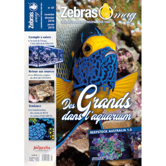 ZebrasO'mag n° 47 nov/dec 2018 Jan 2019
