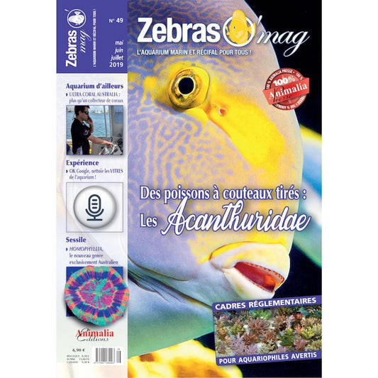 ZebrasO'mag n° 49 mai / juin / juillet 2019