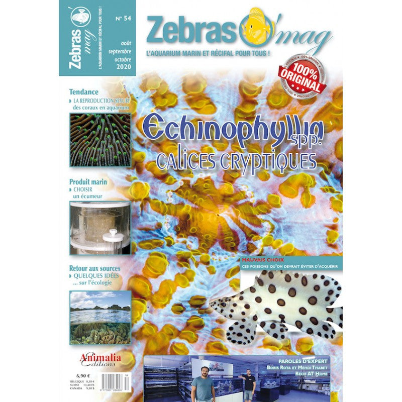 ZebrasO'mag n° 54 Août / Septembre / Octobre 2020