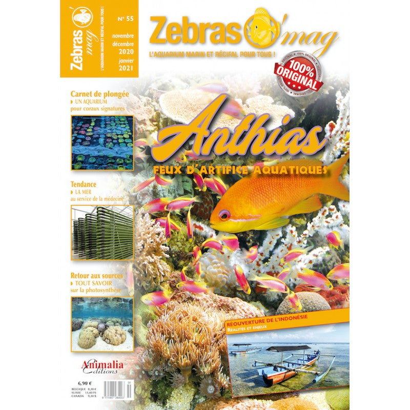 ZebrasO'mag n° 55 Novembre / Décembre 2020 - Janv 21