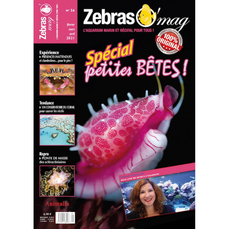 ZebrasO'mag n° 56 Février - Avril 2021