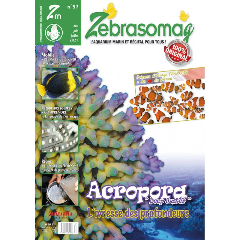 ZebrasO'mag n° 57 Mai - Juillet 2021