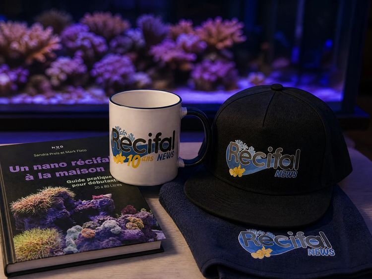 Le livre Un nano récifal à la maison, le mug Récifal News 10 ans, la casquette et la serviette microfibre posés devant un aquarium récifal