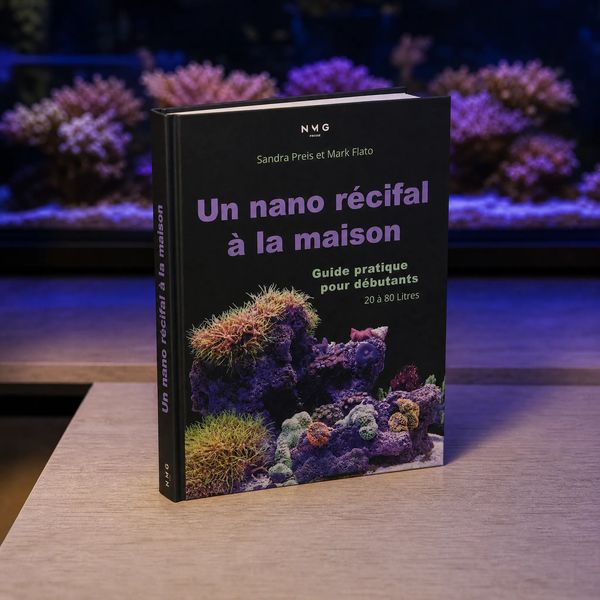 Un nano récifal à la maison