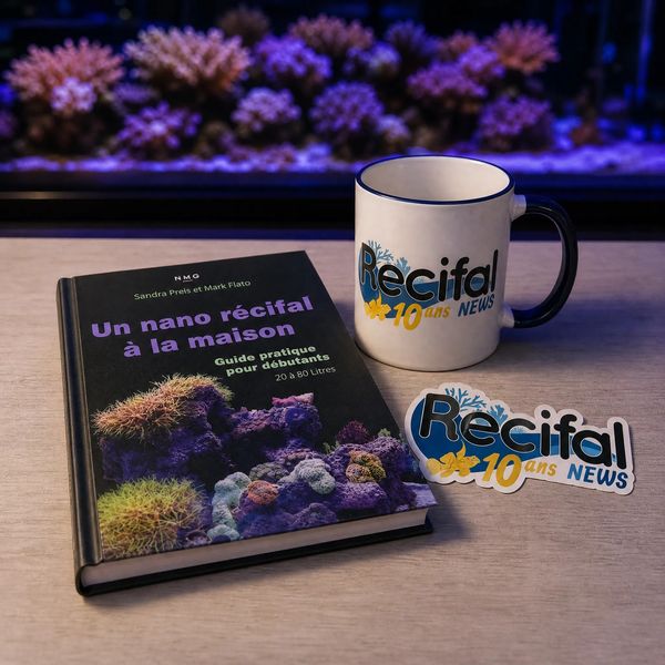 Pack Mug + Livre + Stickers