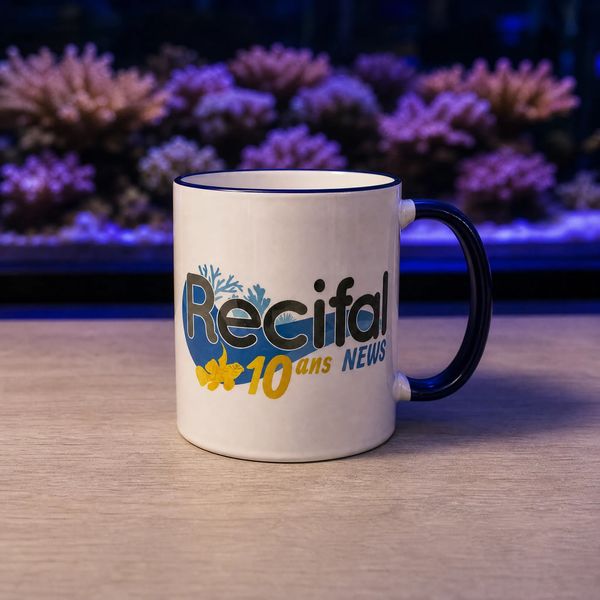 Un mug ?